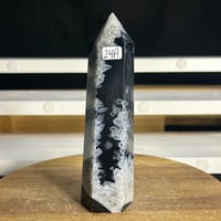 Image 1 of Black Agate Tower (24A)