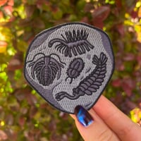 Image 1 of Burgess Shale Fossil Iron-On Patch