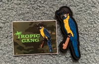 Image 1 of Golden Macaw Patch & Sticker Combo