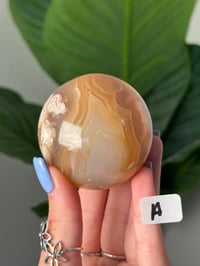 Image 1 of FLOWER AGATE SPHERES