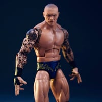 Image 2 of Randy Orton custom figure WM41