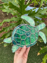 Image 2 of Turtle