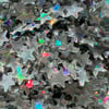 Mini Holographic Stars (.5oz) - Eco Glitter