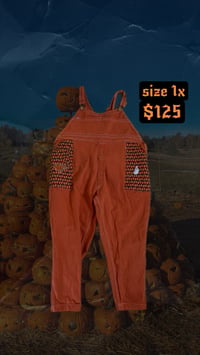 Image 1 of trick or treat overalls