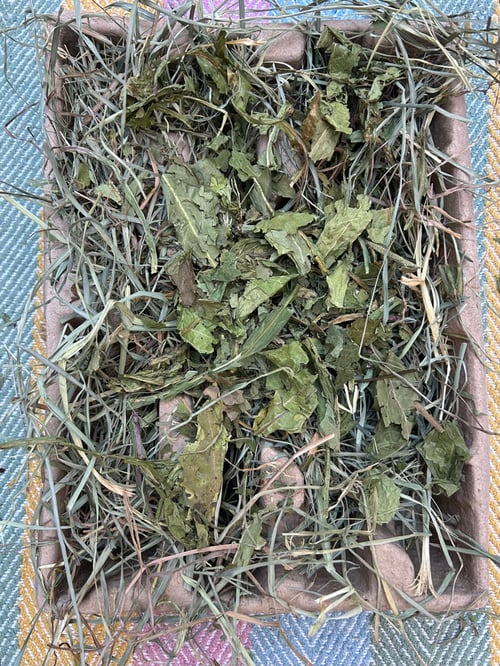 Image of Recycled deep tray filled with mixed dried forage *limited stock!*