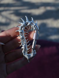 Image 2 of Centipede Fossil #2