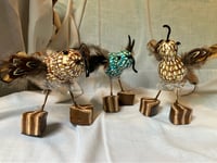 Image 5 of Brown Bird Gourds