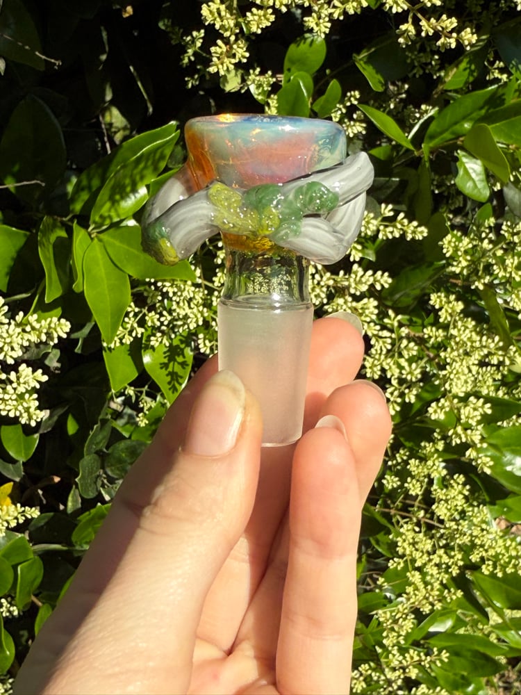 Image of Fantasy Forest 18 mm Slide  #2