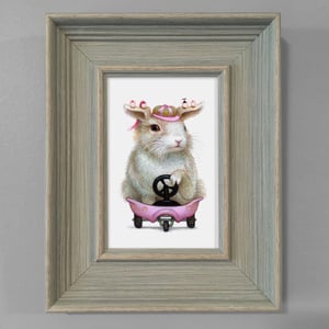 Image of Sheebu Rides Again