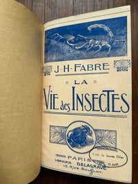 Image 6 of La vie des insectes de J-H. Fabre, 1935!