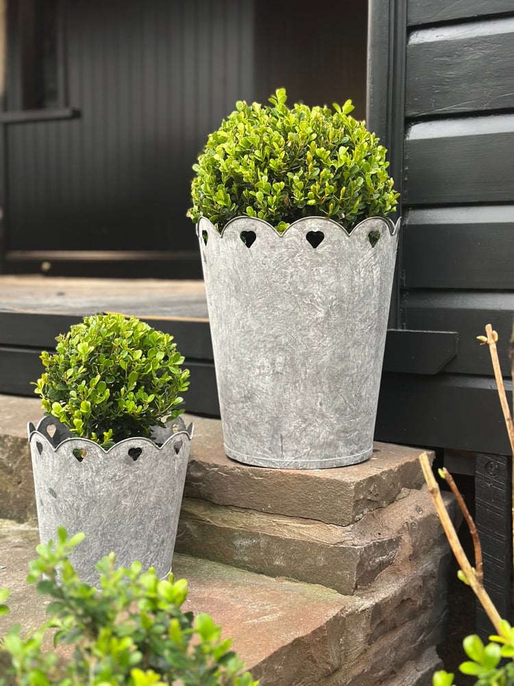 Image of Zinc Planter with Scalloped Heart