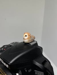 Image 3 of Barn Owl Hotshoe Cover