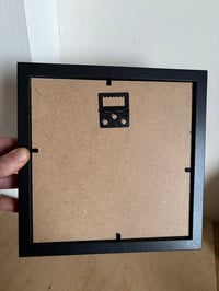 Image 4 of Butterfly Species 