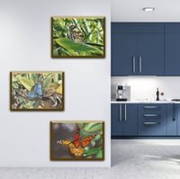 Image 4 of Blue Morpho