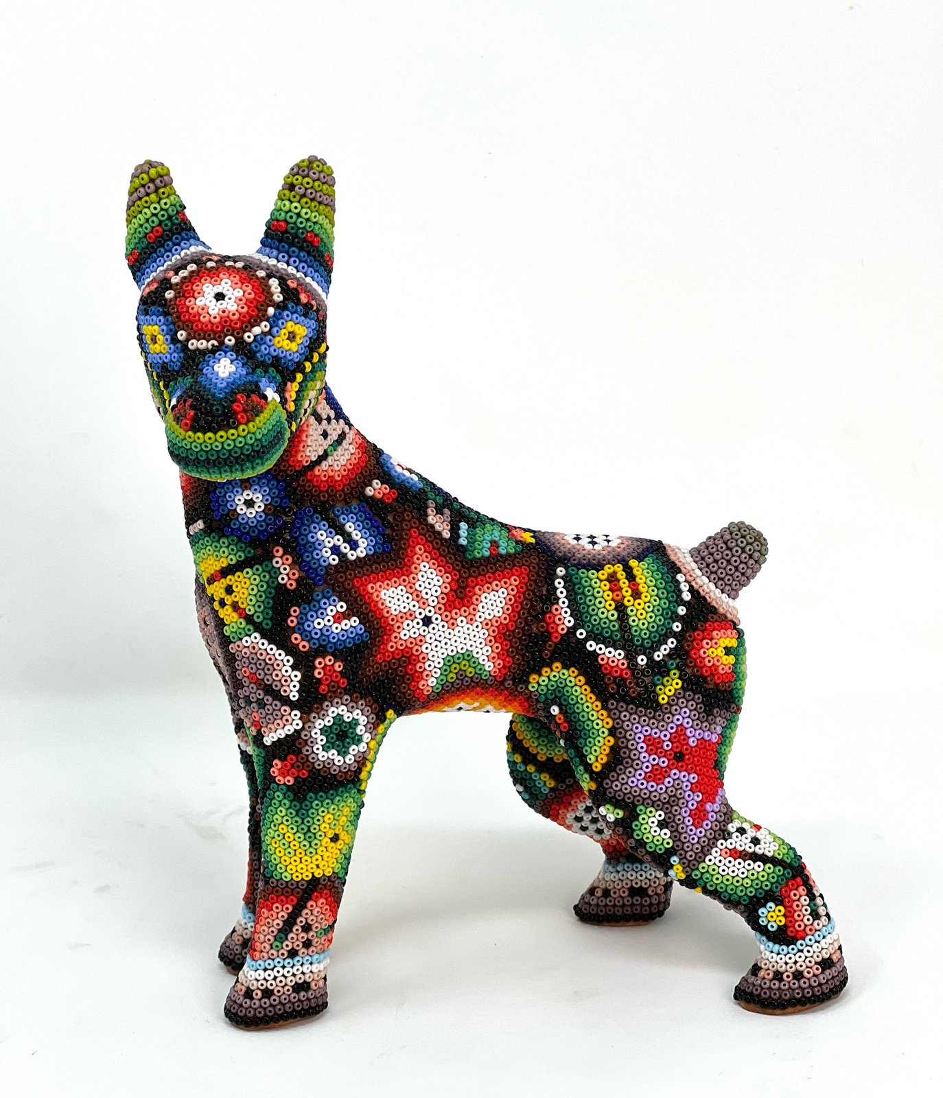 Doberman | Huichol Jefe