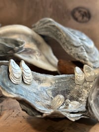 Image 4 of Brackish Oysters