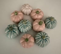 Image 5 of Pwmpenni bach / Tiny pumpkins 