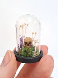 Image 4 of Miniature Skull and Mushroom Domes