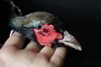 Image 8 of Dead Good taxidermy pheasant head necklace 