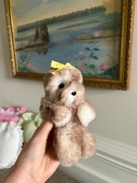 Image 1 of Fluffy Seal