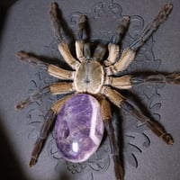 Image 2 of Socotra Island Blue Baboon with Amethyst