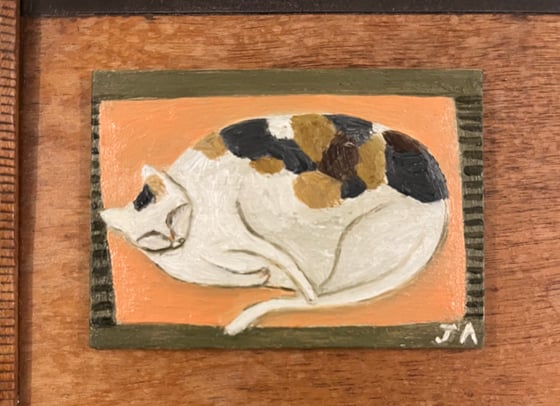 Image of Cat on a pink mat