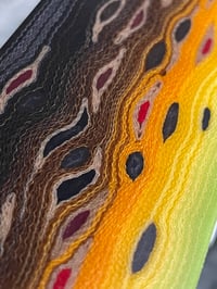 Image 8 of Brown Trout by Mikie