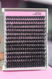 INDIVIDUAL CLUSTER LASHES
