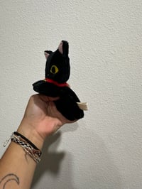 Image 5 of Chico Cat Laying Down Beanie