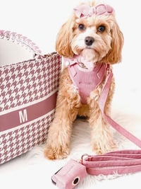 Image 3 of MILANO CORDUROY HARNESS - DUSTY PINK