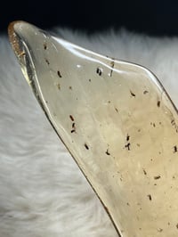 Image 7 of Copal Amber With Preserved Insects #2357