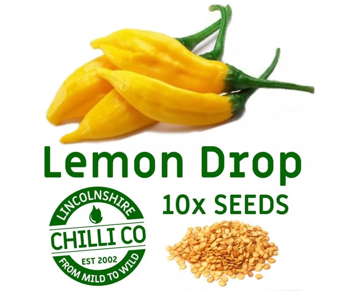 Image of Peruvian Lemon Drop Seeds 