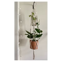 Image 1 of Double Plant Hanger 