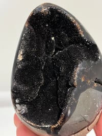 Image 3 of Septarian Nodule Polished Freeform | Madagascar #2900