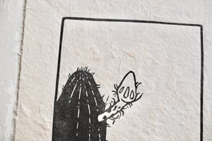 Image of Cactus Bloom