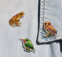 Image 4 of San Pedrito Acrylic Pin | Puerto Rican Tody Pin