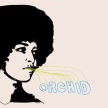 Orchid - "Gatefold" LP