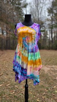 Image 1 of Rainbow Willow