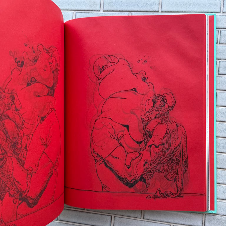Moebius Transe Forme Cartier Exhibition Catalogue Image 7
