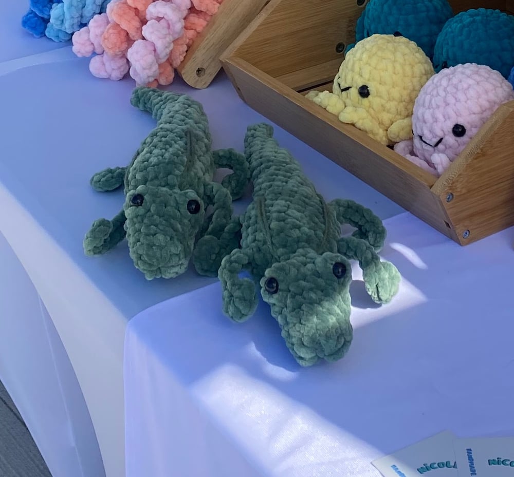 Image of Alligator 