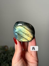 Image 1 of SMALL LABRADORITE FREEFORMS LOT B