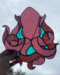 Image 1 of Angel Octopus