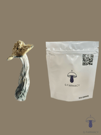 Image 1 of Albino Bluey Vuitton 