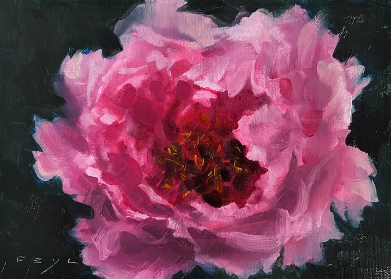 Tree Peony 