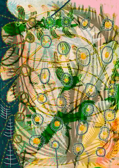 Image of Untitled (Webs and eggs)  by Aliyah Hussain