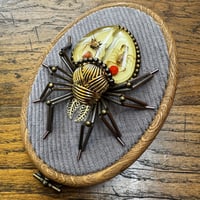 Image 3 of Specimen spider (d,  4x5 inches)
