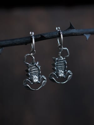 Image of ISHARA HOOPS