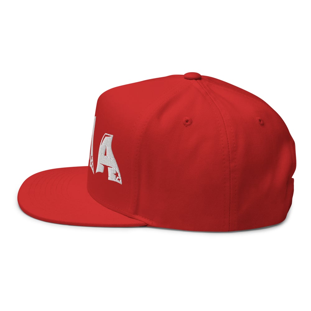 DTMA SNAPBACK
