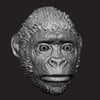 Mini Ape