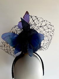 Image 3 of Navy percher